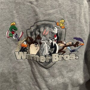 Warner Bros. Gray Zip-Up Hoodie embroidered
